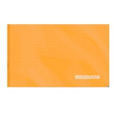 Caiet muzica A5,coperta PP,24 file,17x24 cm,diverse culori