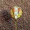 Insigna fotbal - UTA ARAD