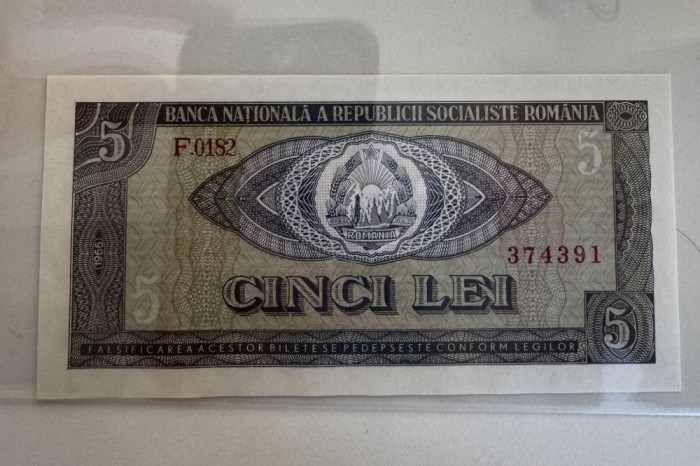 5 lei 1966 UNc