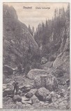 bnk cp Busteni - Cheia Ialomitei - circulata 1924