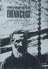 Omagiu Brancusi - Monografie Revista Tribuna 1976 - 270 Pagini - Carte Beletristica