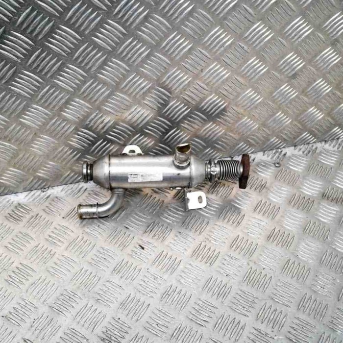 Răcitor EGR CITRO&Euml;N C5 II RC_ 2005 OEM: 0628N3