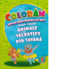 Coloram desene mari pentru cei mici. Animale salbatice din savana