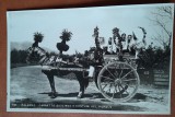 Fotografie tip carte postala, in vacanta la Palermo, sareta siciliana cu oameni in costum traditional, perioada interbelica