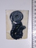 Cumpara ieftin DECOR VINTAGE - CALUT DE MARE - SUPORT DIN MARMURA