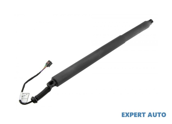 Amortizor capota spate Kia SORENTO 3 (2015-2020) #1
