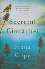 SECRETUL CIOCARLIEI-FIONA VALPY-250842 foto