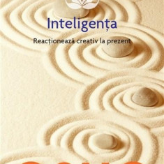 Inteligenta - Osho Vol. XIV | Osho