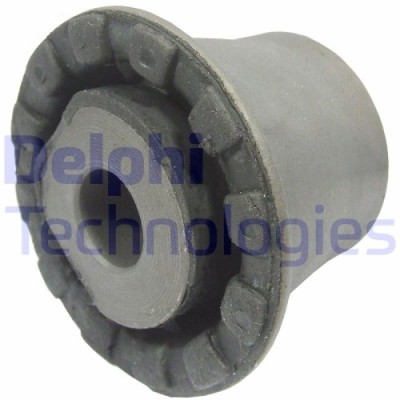 Delphi suport, ax foto