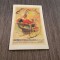 Carte Poștală Veche &ndash; Grandes F&ecirc;tes des Tuileries, Franța-Rusia, Ilustrație Art Nouveau, Paris, E. Apeschi, Neexpediată, Colecție Rară!
