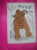 HOPCT 15143 TIGRIS - GERMANIA--CARTE POSTALA RADIO AMATOR / RADIOAMATORI CARICATURA -CIRCULATA