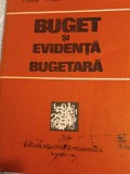 Buget și evidența bugetara