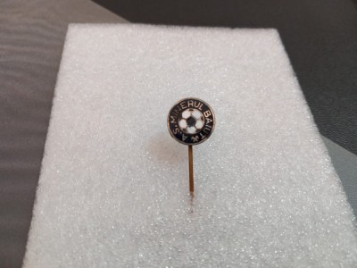 Insigna Minerul Baiut foto