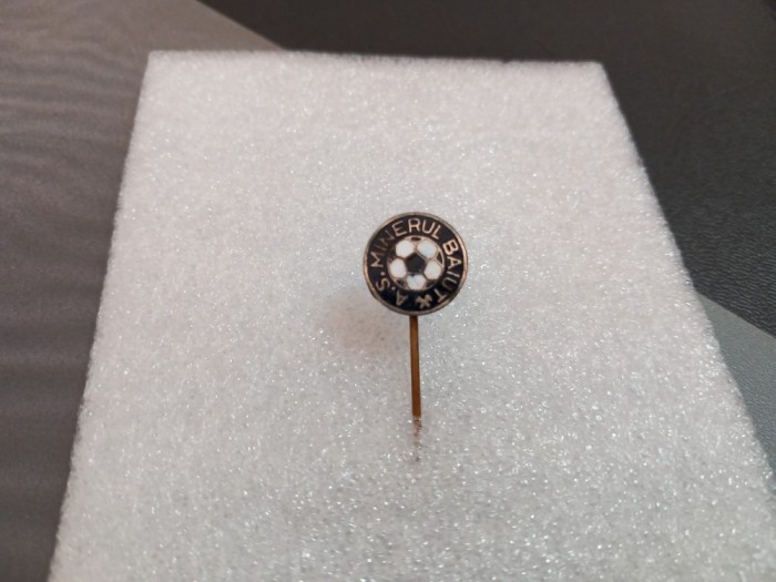 Insigna Minerul Baiut