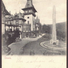 542 - SINAIA, Prahova, PELES Castle, Romania - old postcard - used - 1903