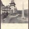 542 - SINAIA, Prahova, PELES Castle, Romania - old postcard - used - 1903