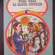 VODA CUZA LA HANUL CUCULUI - George Nestor