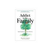Addict in the Family: Support Through Loss, Hope, and Recovery