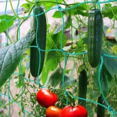 Plasa pentru plante 1,7 x 10m