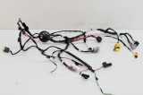 Cablaj ușă st&acirc;nga spate TESLA MODEL X 2018 OEM: 1032441-00-G 12574176