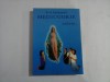 MEDJUGORJE ANII 90... Triumful Inimii - Sora EMMANUEL