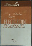 Cumpara ieftin ANDREI ZANCA: ELEGIILE DIN REGENSBURG (1994/SERIA POETICA/ARHIPELAG TARGU-MURES)