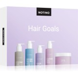 Beauty Discovery Box Notino Hair Goals set pentru femei