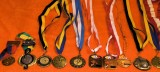 14 MEDALII SPORTIVE DIVERSE SPORTURI