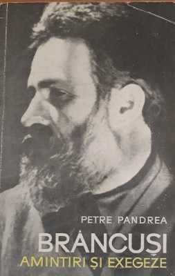 Brancusi Amintiri si Exegeze - Petre Pandrea foto