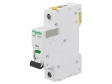 &Icirc;ntrerupător Supracurent 25A 230V 1P C