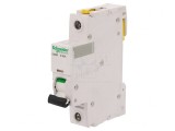&Icirc;ntrerupător de Supracurent 63A 1P 230V D