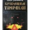 Sorin Stefanescu - Sfidarea timpului (Editia: 1997)