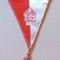 Fanion fotbal - WIENER NEUSTADT (Austria)