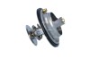 NRF 725098 EASY FIT termostat,lichid racire