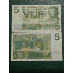Olanda 1966 - 5 gulden, circulata