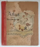 Atlas Istoria Popoarelor Vechi Editia a II-a Vasile T. Dimitrescu, Andrei Nitulescu 1924 Editura Cartea Romaneasca Cartonata