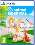Animal Hospital PS5