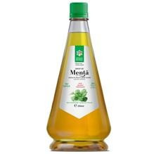 Sirop Menta Santo Raphael 250ml Cod: sant00309 foto