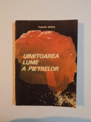 UIMITOAREA LUME A PIETRELOR de TUDOR OPRIS , 1992 foto