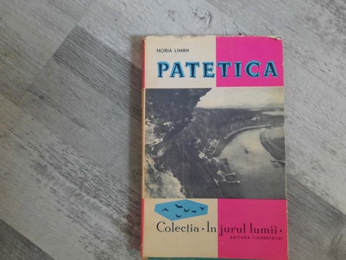 Patetica.Germania- ieri si azi de Horia Liman