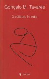 O calatorie in India - E.M. Forster