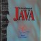 LIMBAJUL JAVA-EUGEN ROTARIU-254521