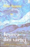 Ieșirea din v&acirc;rtej - Peter Demeny - Curtea Veche - Roman - Beletristica