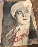 M. Romanul Lui Rudolph Valentin