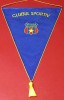 Fanion meci fotbal STEAUA Bucuresti (dim. 39x29 cm)-nu este original