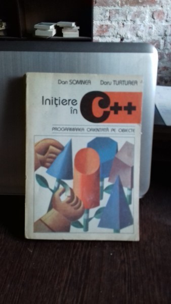 INITIERE IN C++ - DAN SOMNEA