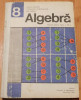 Algebra, manual pentru clasa a VIII-a de Ivanca Olivotto, Clasa 8, Matematica