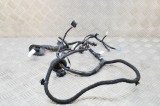Cablaj ușă dreapta spate TESLA MODEL 3 2021 OEM: 2067966-00-B 15427701