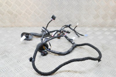 Cablaj ușă dreapta spate TESLA MODEL 3 2021 OEM: 2067966-00-B 15427701 foto