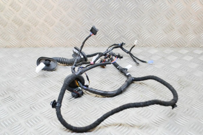 Cablaj ușă dreapta spate TESLA MODEL 3 2021 OEM: 2067966-00-B 15427701